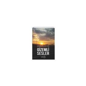 İçimden Gelen Gizemli Sesler - İsmail Çakılı
