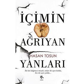 İçimin Ağrıyan Yanları - Hasan Tosun