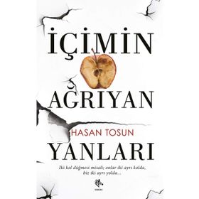 İçimin Ağrıyan Yanları - Hasan Tosun