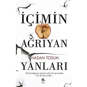 İçimin Ağrıyan Yanları - Hasan Tosun