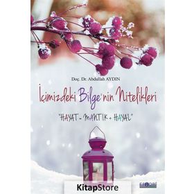 İçimizdeki Bilgenin Nitelikleri - Abdullah Aydın