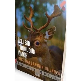 İçli Bir Türküdür Ömür - Bülent Güldal