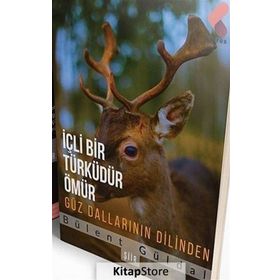İçli Bir Türküdür Ömür - Bülent Güldal
