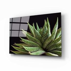 İdeal Glass Art Alovera Cam Tablo