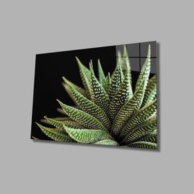 İdeal Glass Art Alovera Cam Tablo