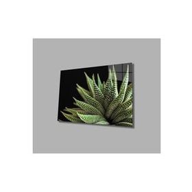 İdeal Glass Art Alovera Cam Tablo