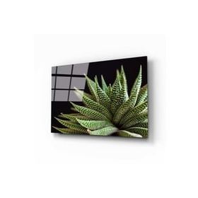 İdeal Glass Art Alovera Cam Tablo
