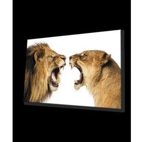 İdeal Glass Art Aslan 4 mm Dayanıklı Temperli Cam Tablo