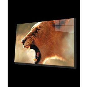 İdeal Glass Art Aslan 4 mm Dayanıklı Temperli Cam Tablo