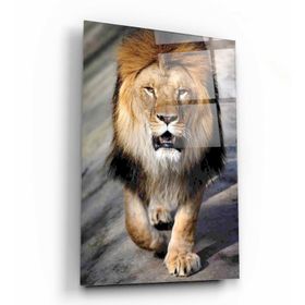 İdeal Glass Art Aslan Cam Tablo
