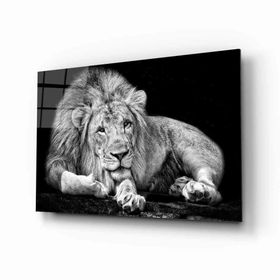 İdeal Glass Art Aslan Hayvan Cam Tablo