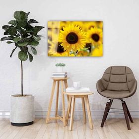 İdeal Glass Art Ayçiçeği 4 mm Dayanıklı Temperli Cam Tablo