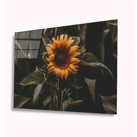 İdeal Glass Art Ayçiçeği 4 mm Dayanıklı Temperli Cam Tablo