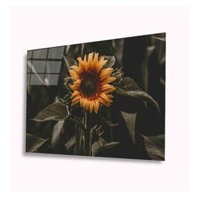 İdeal Glass Art Ayçiçeği 4 mm Dayanıklı Temperli Cam Tablo