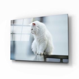İdeal Glass Art Beyaz Kedi Cam Tablo