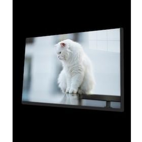 İdeal Glass Art Beyaz Kedi Cam Tablo