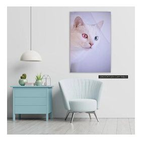 İdeal Glass Art Beyaz Kedi Cam Tablo
