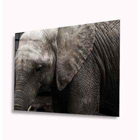 İdeal Glass Art Fil 4 mm Dayanıklı Temperli Cam Tablo