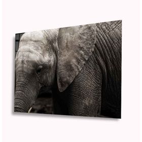 İdeal Glass Art Fil 4 mm Dayanıklı Temperli Cam Tablo