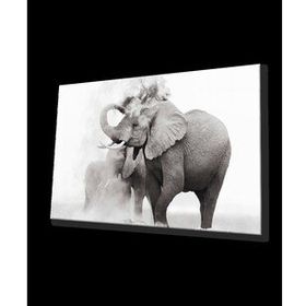İdeal Glass Art Fil 4 mm Dayanıklı Temperli Cam Tablo