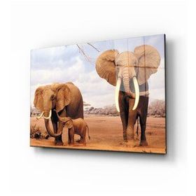 İdeal Glass Art Fil 4 mm Dayanıklı Temperli Cam Tablo