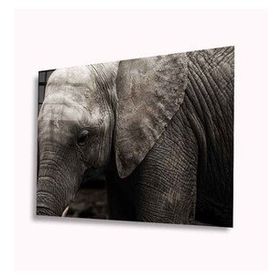 İdeal Glass Art Fil 4 mm Dayanıklı Temperli Cam Tablo