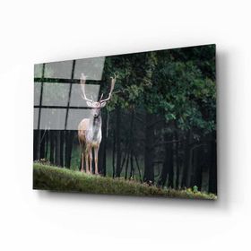 İdeal Glass Art Geyik Cam Tablo