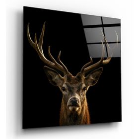 İdeal Glass Art Geyik Cam Tablo