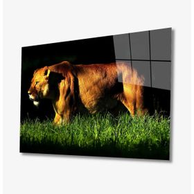 İdeal Glass Art İdealizbiz Aslan 4 mm Dayanıklı Temperli Cam Tablo