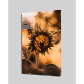 İdeal Glass Art İdealizbiz Ayçiçeği 4 mm Dayanıklı Temperli Cam Tablo