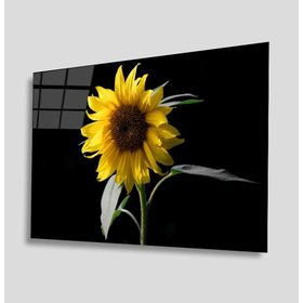 İdeal Glass Art İdealizbiz Ayçiçeği 4 mm Dayanıklı Temperli Cam Tablo