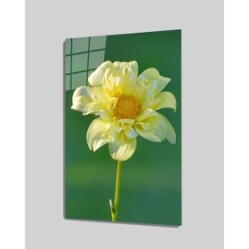 İdeal Glass Art İdealizbiz Çiçek 4 mm Dayanıklı Temperli Cam Tablo