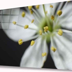 İdeal Glass Art İdealizbiz Çiçek 4 mm Dayanıklı Temperli Cam Tablo