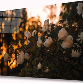İdeal Glass Art İdealizbiz Çiçek 4 mm Dayanıklı Temperli Cam Tablo