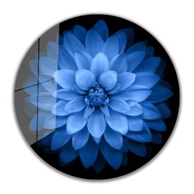 İdeal Glass Art İdealizbiz Çiçek Yuvarlak 4 mm Dayanıklı Temperli Cam Tablo