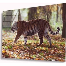 İdeal Glass Art İdealizbiz Kaplan 4 mm Dayanıklı Temperli Cam Tablo