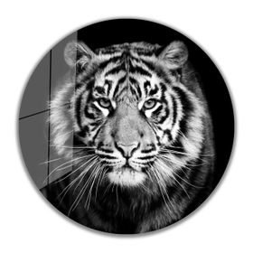İdeal Glass Art İdealizbiz Kaplan Yuvarlak 4 mm Dayanıklı Temperli Cam Tablo