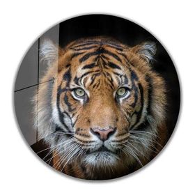 İdeal Glass Art İdealizbiz Kaplan Yuvarlak 4 mm Dayanıklı Temperli Cam Tablo