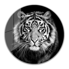 İdeal Glass Art İdealizbiz Kaplan Yuvarlak 4 mm Dayanıklı Temperli Cam Tablo