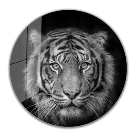 İdeal Glass Art İdealizbiz Kaplan Yuvarlak 4 mm Dayanıklı Temperli Cam Tablo