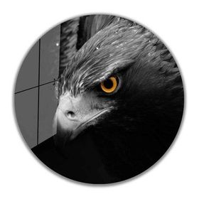 İdeal Glass Art İdealizbiz Kartal Yuvarlak 4 mm Dayanıklı Temperli Cam Tablo