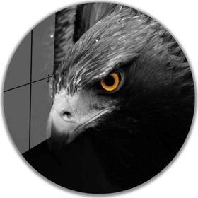 İdeal Glass Art İdealizbiz Kartal Yuvarlak 4 mm Dayanıklı Temperli Cam Tablo