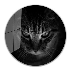 İdeal Glass Art İdealizbiz Kedi Yuvarlak 4 mm Dayanıklı Temperli Cam Tablo