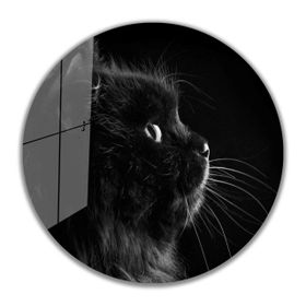 İdeal Glass Art İdealizbiz Kedi Yuvarlak 4 mm Dayanıklı Temperli Cam Tablo