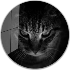 İdeal Glass Art İdealizbiz Kedi Yuvarlak 4 mm Dayanıklı Temperli Cam Tablo