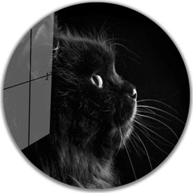 İdeal Glass Art İdealizbiz Kedi Yuvarlak 4 mm Dayanıklı Temperli Cam Tablo