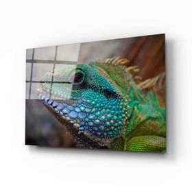 İdeal Glass Art İguana Cam Tablo
