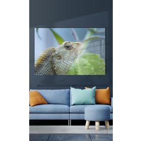 İdeal Glass Art İguana Cam Tablo
