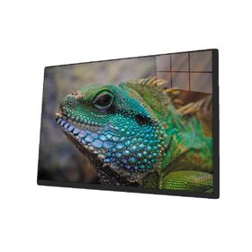 İdeal Glass Art İguana Cam Tablo