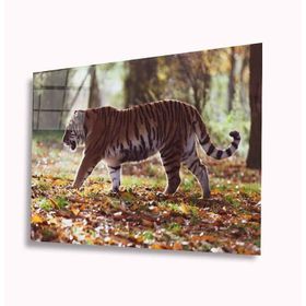 İdeal Glass Art Kaplan 4 mm Dayanıklı Temperli Cam Tablo
